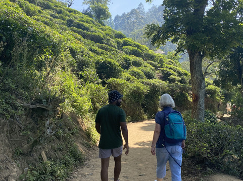 Sri Lanka Jason’s Private Drivers-科伦坡必去景点