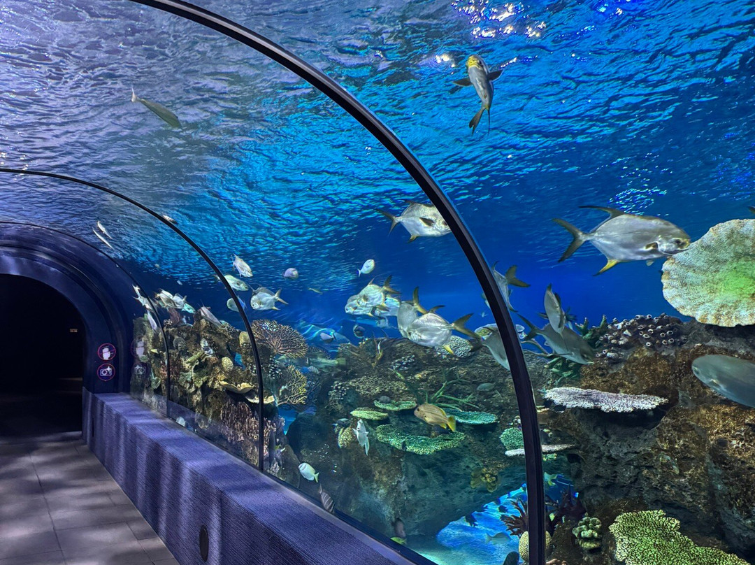 Angkor Wildlife & Aquarium-暹粒必去景点