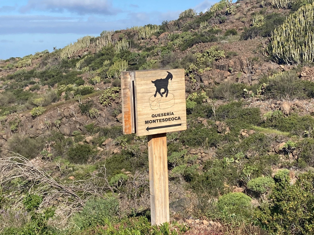 Queseria Montesdeoca-Tijoco Bajo必去景点