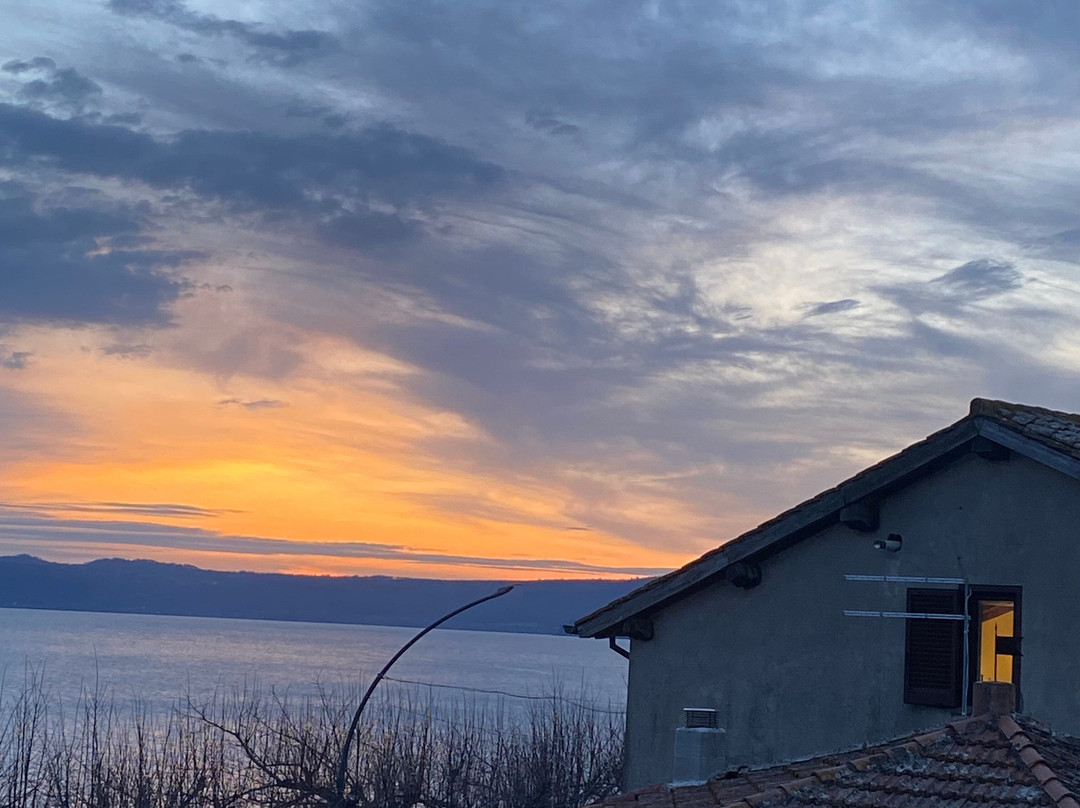 博尔格维斯塔拉戈主图