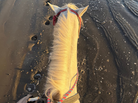 Horizonte Horse Experience-Playa Hermosa必去景点