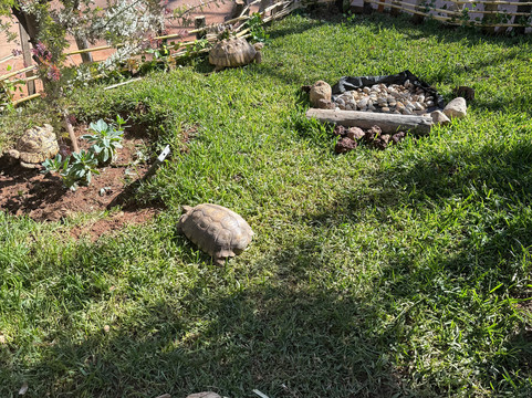 Pai Pai Ecotourism Park-恩塞纳达必去景点