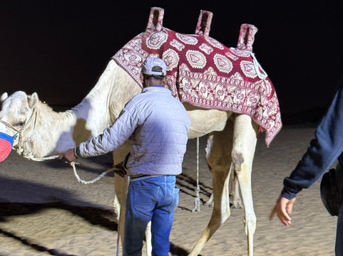 Nishat Tours And Travels-斯利那加必去景点