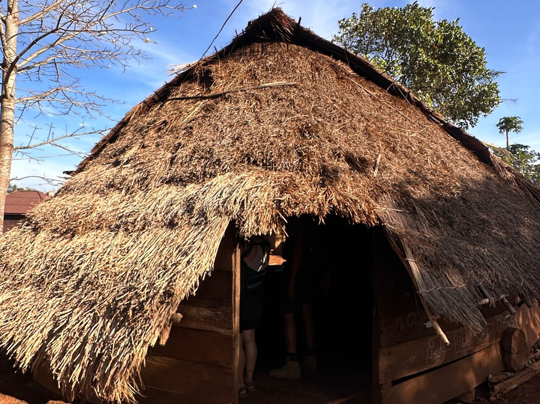 Elephant Community Project - Day Tours-森莫诺隆必去景点