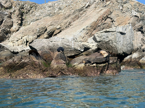 Baja Wild Encounters-La Ventana必去景点