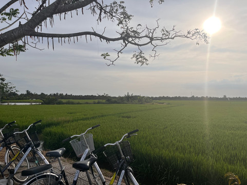 Mekong Realism-芹苴必去景点