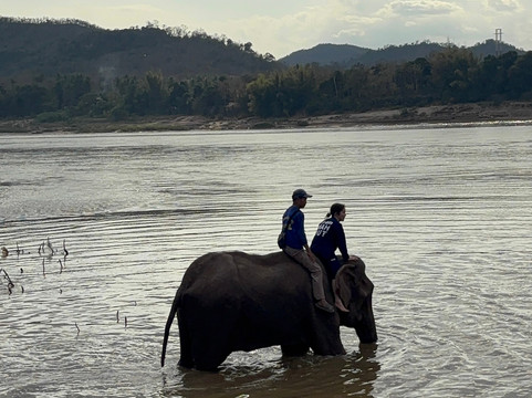 Manifa Elephant Camp-Sang Ha必去景点