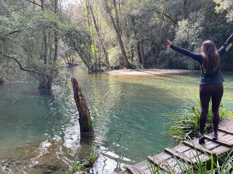 Moli Del Murri-Les Planes d'Hostoles必去景点