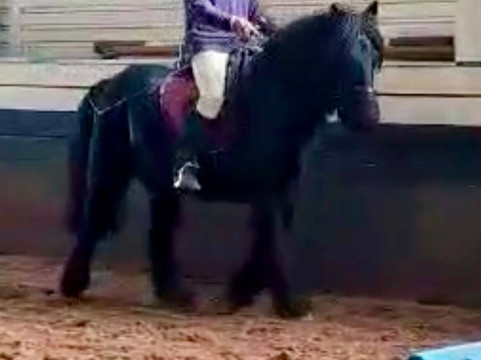 Harness Change At Cumbria Rural Academy Cic-Backbarrow必去景点