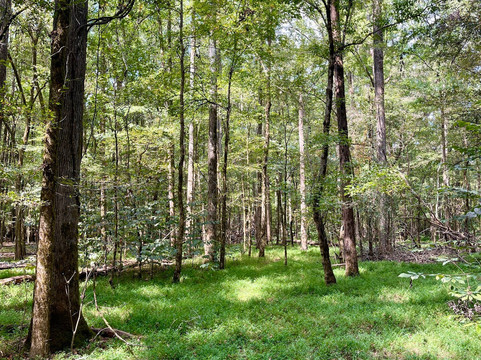 Kettle Creek Battlefield-Washington必去景点