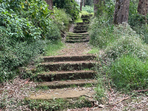 Nuwara Eliya Golf Course-奴娃拉伊利雅必去景点