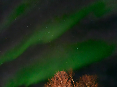 Active Tromsø-特罗姆瑟必去景点