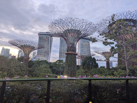 Big Bus Tours-新加坡必去景点