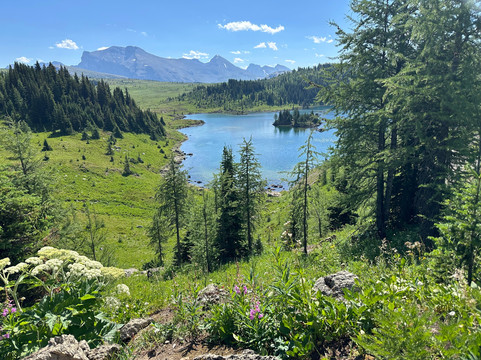 Sunshine Meadows-班夫必去景点