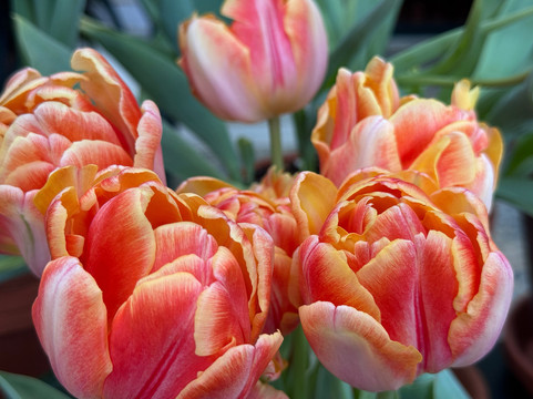 乔治伊士曼博物馆-罗切斯特必去景点