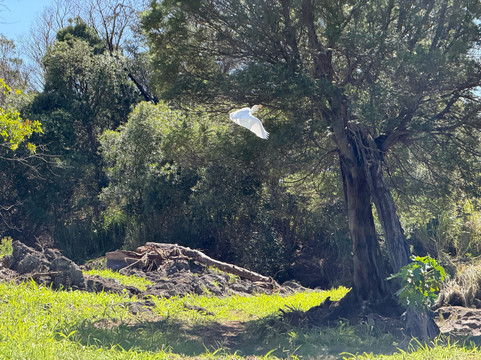 Ulu La'au (waimea Nature Park)-卡慕也拉必去景点