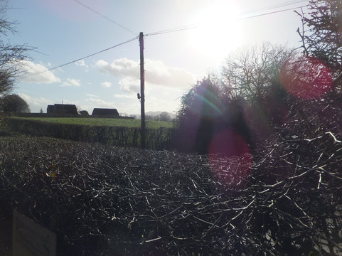 The Firs-Upper Broadheath必去景点