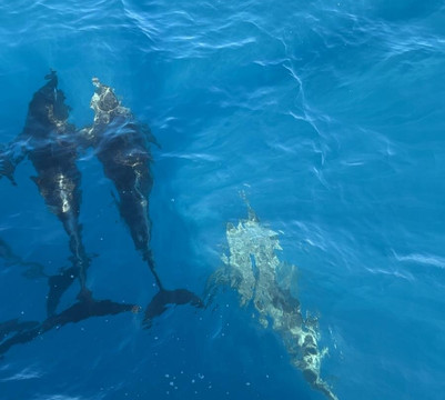 AquaSports-大加纳利必去景点