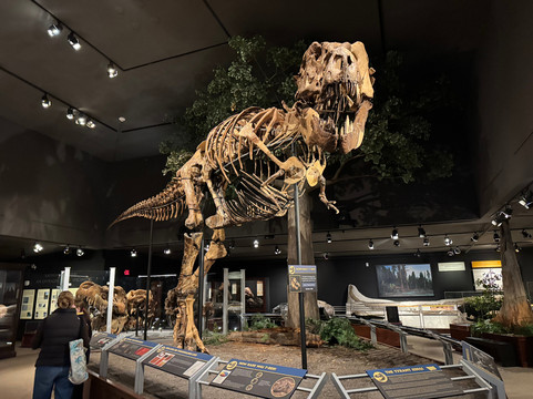 Museum of the Rockies-博兹曼必去景点