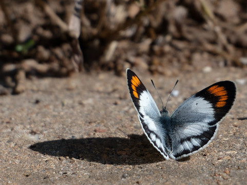 Nyandungu Eco-Park-吉佳利必去景点