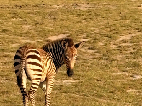 Aventure Safaris-蒙巴萨必去景点