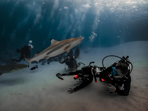 Adora Liveaboard, Maldives-马累必去景点