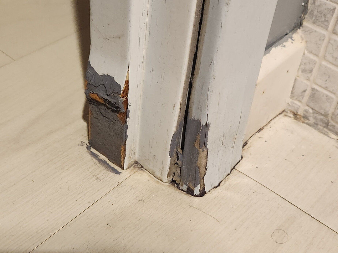 欧罗巴酒店主图