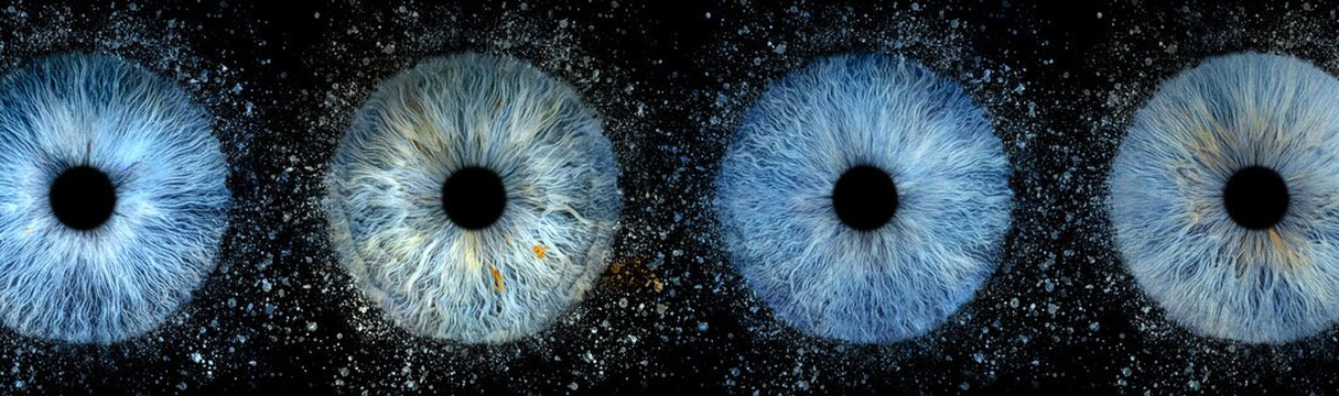 Iris Galerie Groningen-格罗宁根省必去景点