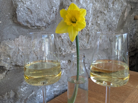 Gwinllan Conwy Ltd-Llandudno Junction必去景点