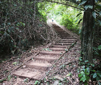 Sentier du Rorota-Remire-Montjoly必去景点