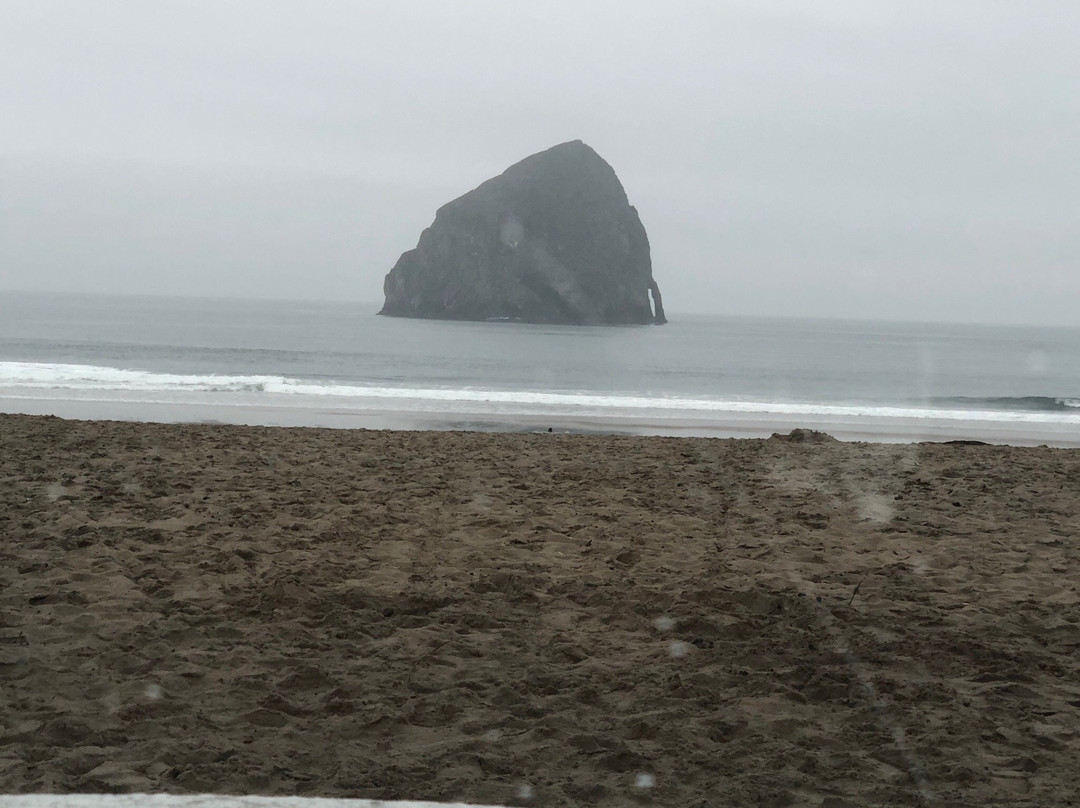 Pelican Brewing - Pacific City-太平洋城必去景点