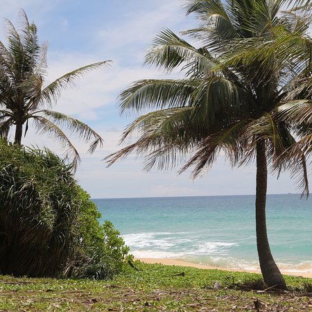 普吉岛塔夫棕榈海滩度假村主图