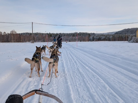Aurora Borealis Adventures-Vindeln必去景点