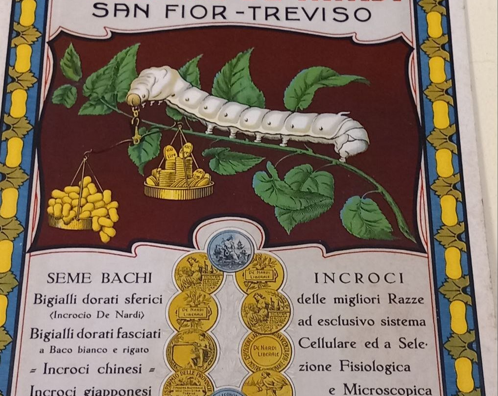 Museo della Seta Soncino-Soncino必去景点