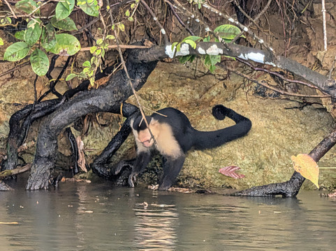 Panama Road Trips-巴拿马城必去景点