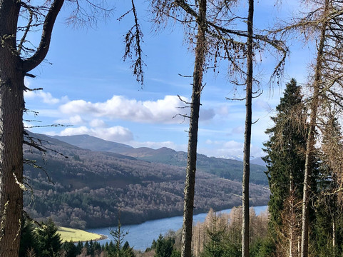 Allean Forest-皮特洛赫里必去景点