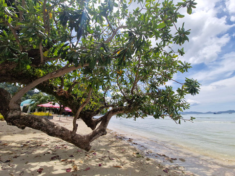 Corong Corong Beach-爱妮岛必去景点