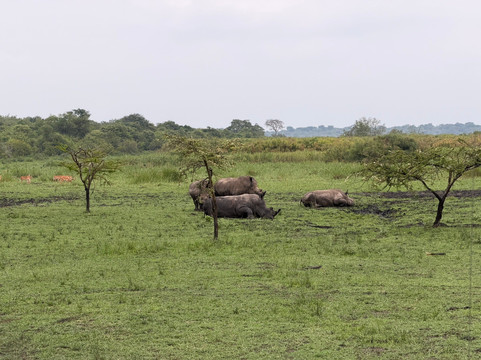 Albertine Tours-吉佳利必去景点