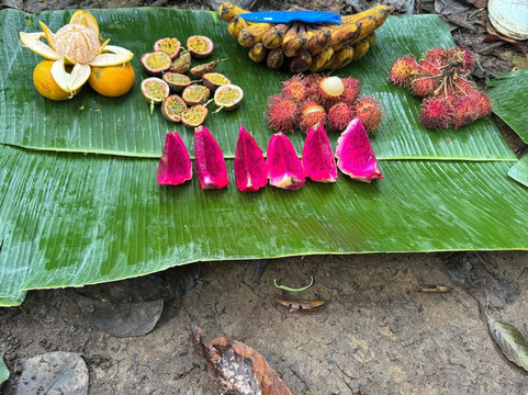 Sumatra orangutan escape-棉兰必去景点