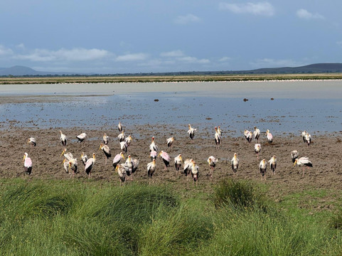 Lake Magadi Conservancy-马加迪必去景点
