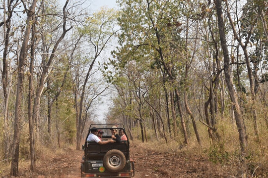 SS王国度假村主图