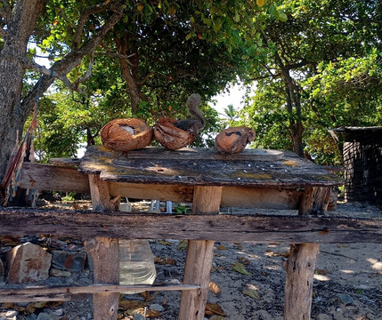 Ilha de Santo Aleixo-Sirinhaem必去景点