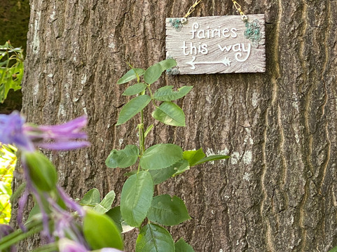 海伊斯伯利住宿加早餐旅馆主图