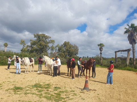 Dehesa Boyal-Villamanrique de la Condesa必去景点
