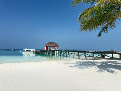 马尔代夫奥臻岛度假酒店-泳池