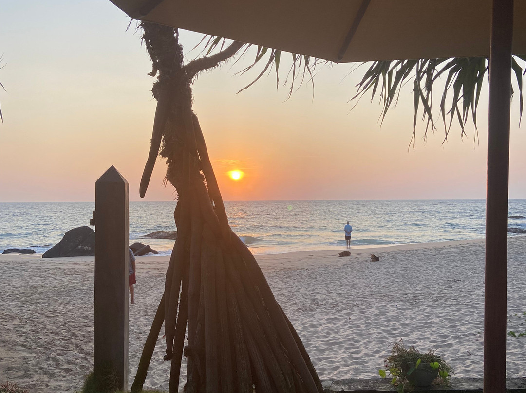 Ayurveda Garden主图