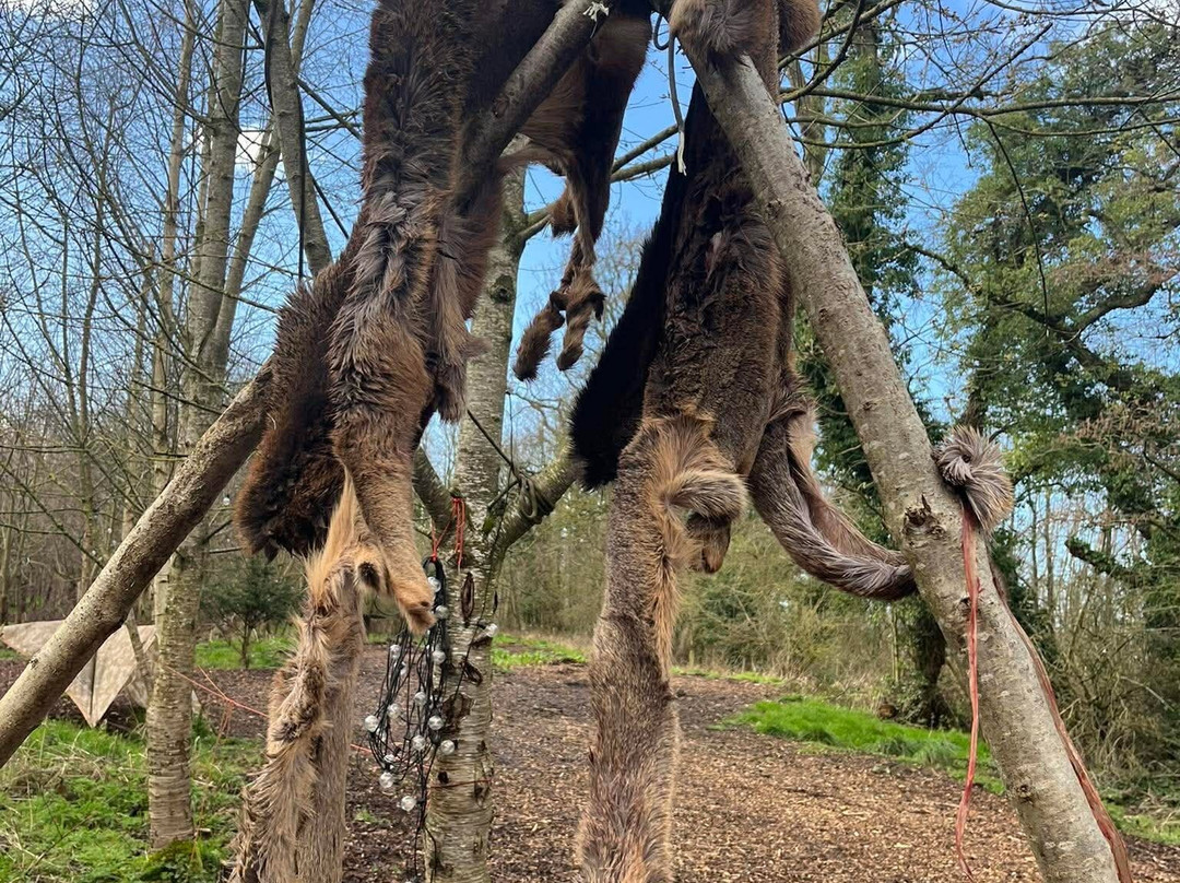 Wild Bushcraft Company-Corwen必去景点