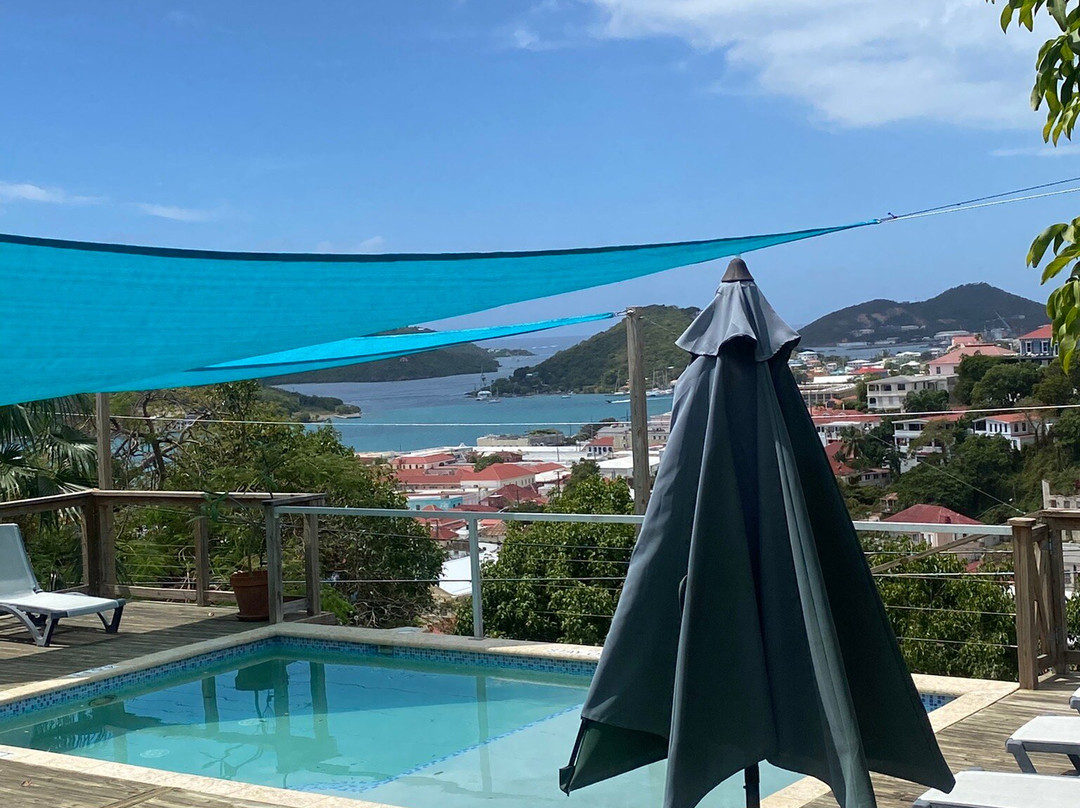 绿鬣蜥酒店主图