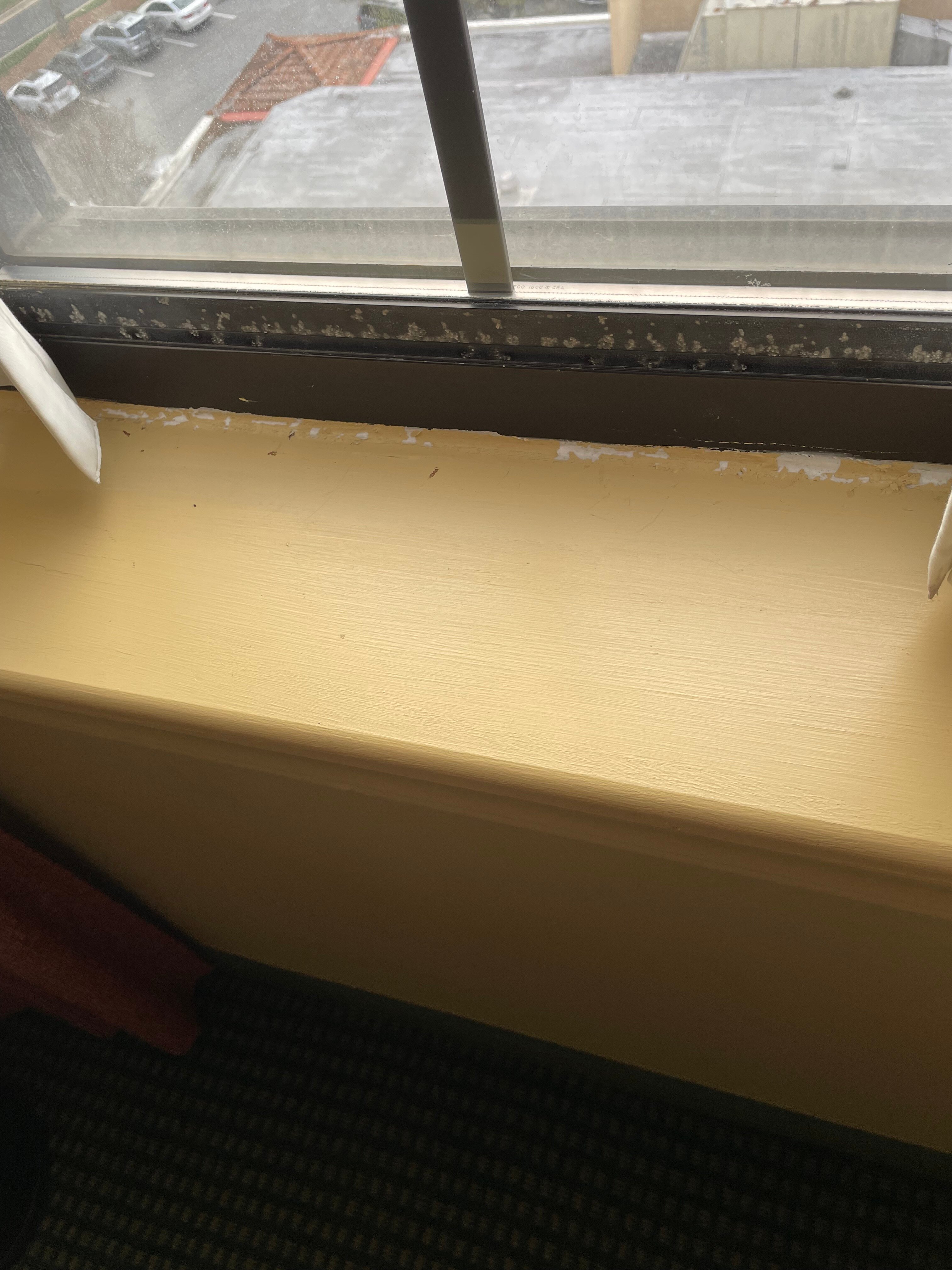 格林斯伯勒机场希尔顿安泊套房酒店-客卧