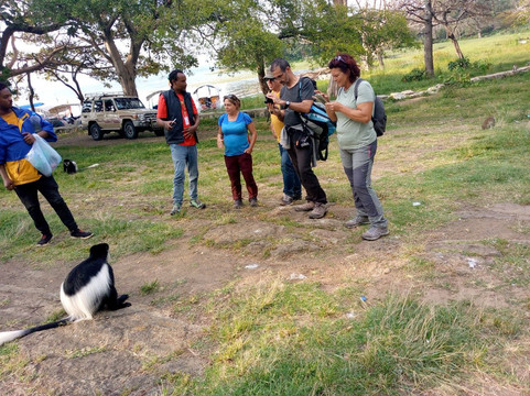 King Dawit Tours & Travel Ethiopia-德布雷塞特必去景点